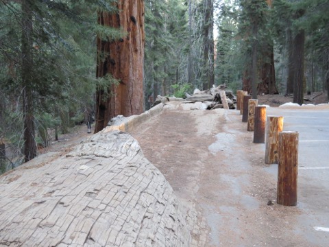 Sequoia National Park_a0097322_12165383.jpg