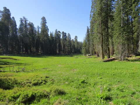 Sequoia National Park_a0097322_12444553.jpg