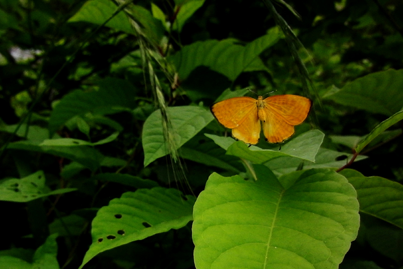 d0054625_22571468.jpg