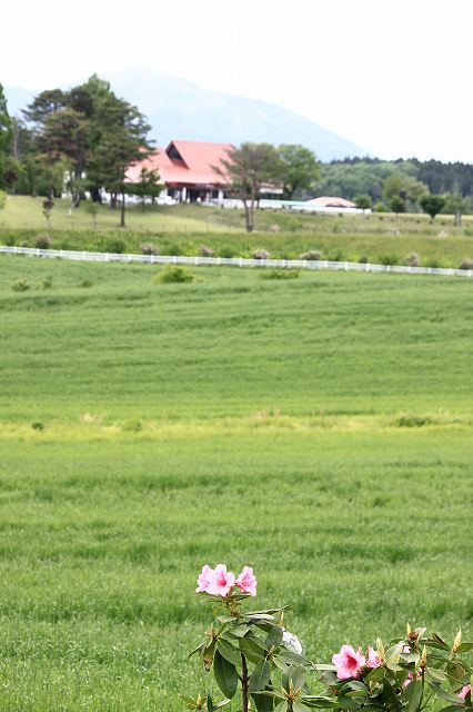 ６月１日　目的は「叉木」の蕎麦_a0045932_15353749.jpg