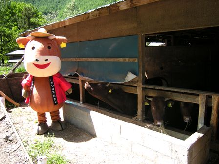 絶好の青空のもと、釜津田に現れたのは・・・!_b0206037_7491826.jpg
