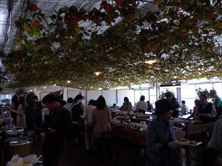 e0120938_4421610.jpg