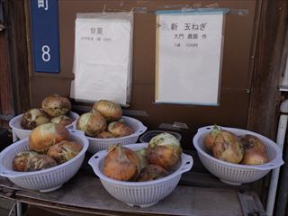 e0120938_4512550.jpg