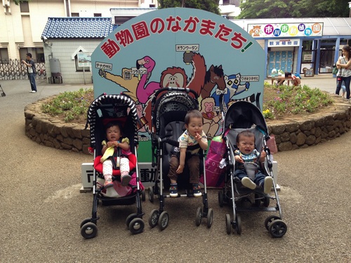 市川動植物園 withママ友_a0267942_18562794.jpg