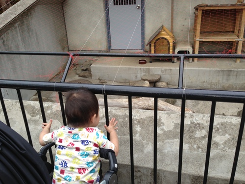 市川動植物園 withママ友_a0267942_20522466.jpg