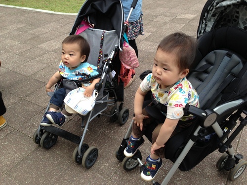 市川動植物園 withママ友_a0267942_20534163.jpg