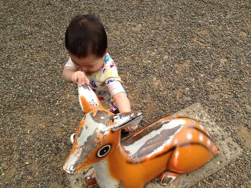 市川動植物園 withママ友_a0267942_214523.jpg