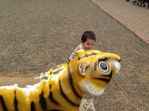 市川動植物園 withママ友_a0267942_215967.jpg