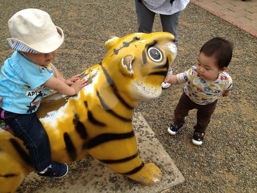 市川動植物園 withママ友_a0267942_218213.jpg
