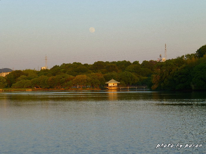山田池公園・水辺広場からの夕景風景。_c0137342_8341948.jpg