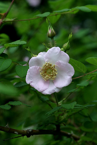f0271343_1215973.jpg