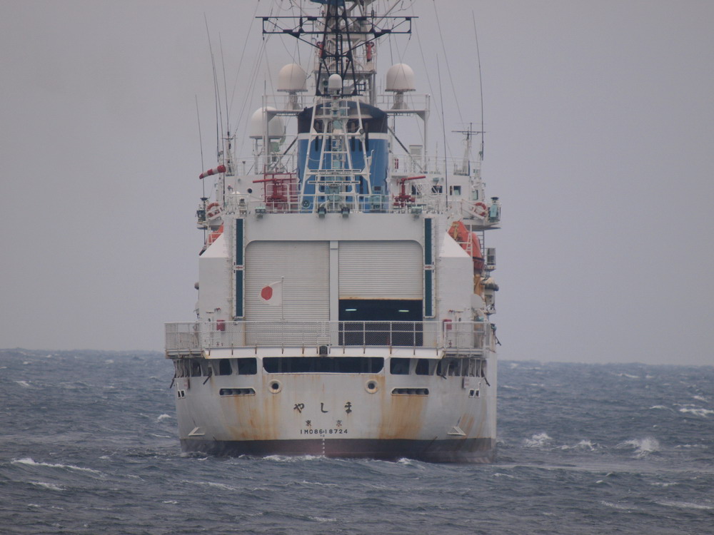 e0128144_1003861.jpg