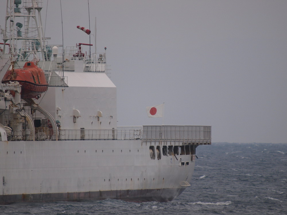 e0128144_9532560.jpg