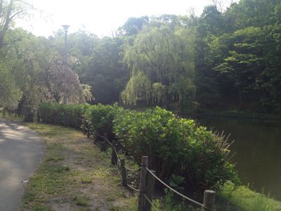 e0309644_1025594.jpg
