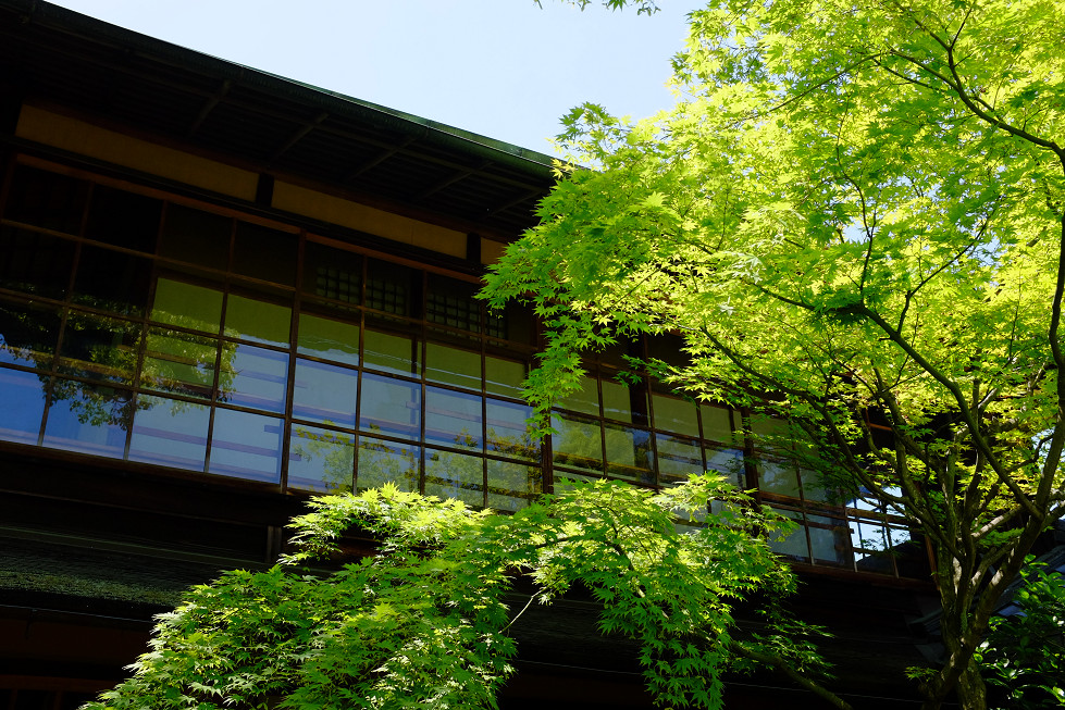 f0152550_1944757.jpg