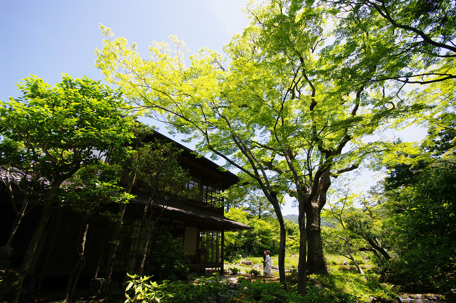 f0152550_1955452.jpg