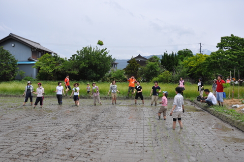 2013田植えイベント開催されました!_a0156857_22565442.jpg