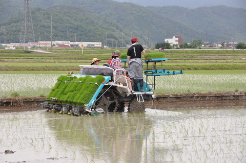 2013田植えイベント開催されました!_a0156857_2258213.jpg