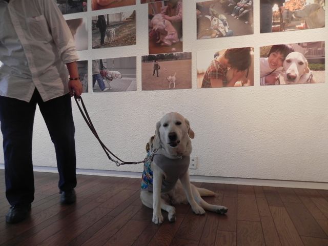 盲導犬アクアと一緒に〜ブルームギャラリー_d0076558_1651197.jpg