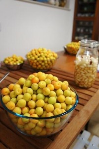 季節の手仕事の会_a0163160_1623323.jpg