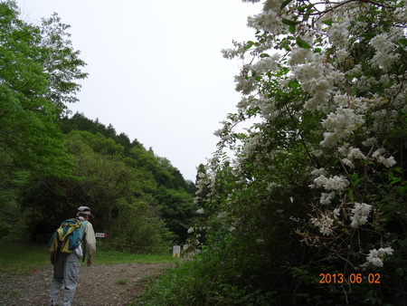 孝子地区住民との交流会　　in　　孝子の森_c0108460_23215633.jpg