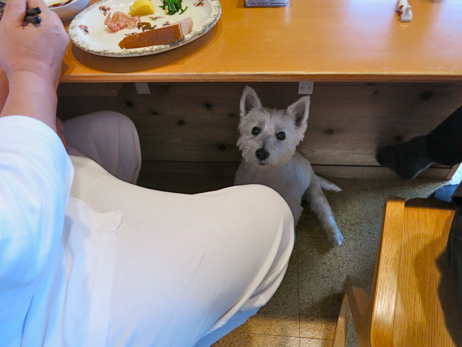 おじさんがやって来た!_c0260460_10163710.jpg