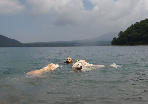 大好きな本栖湖へ！_c0110361_16295082.jpg