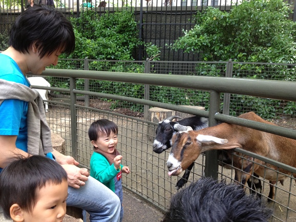 セントラルパークＺＯＯ_e0280662_1534549.jpg