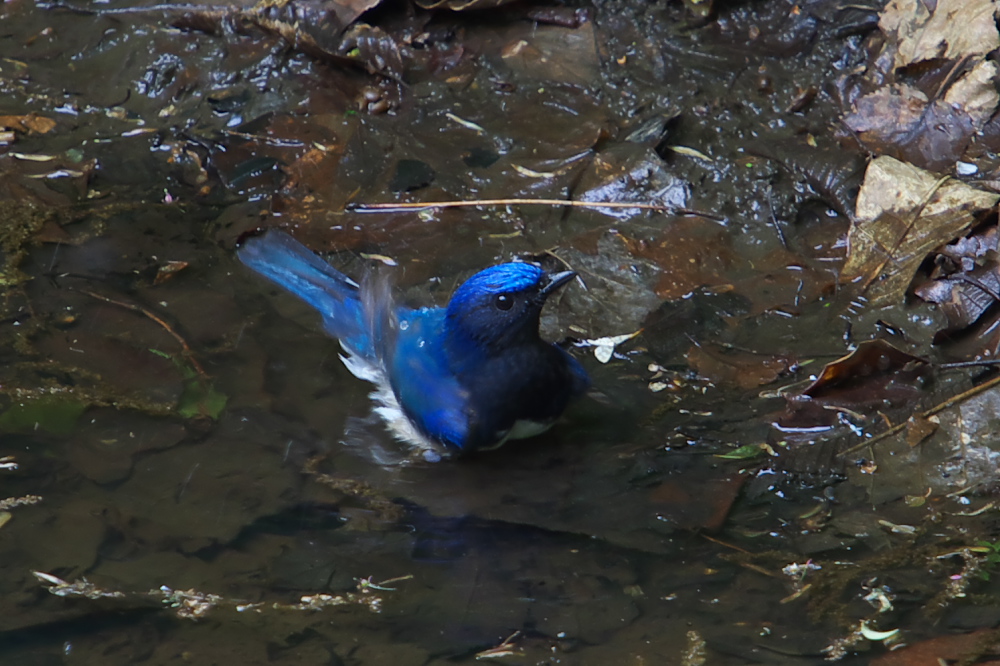 b0092366_21182856.jpg