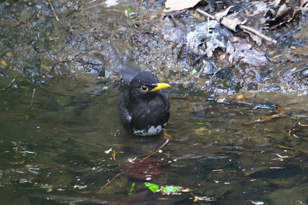 b0092366_21334512.jpg
