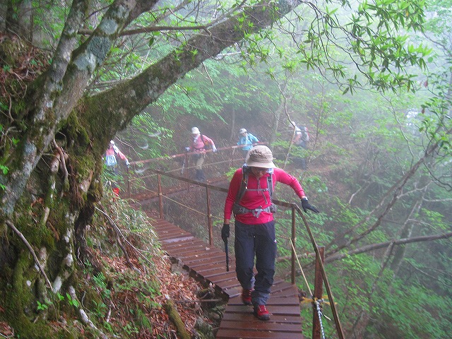 2013.6.1 手箱山～筒上山_c0219866_10121659.jpg