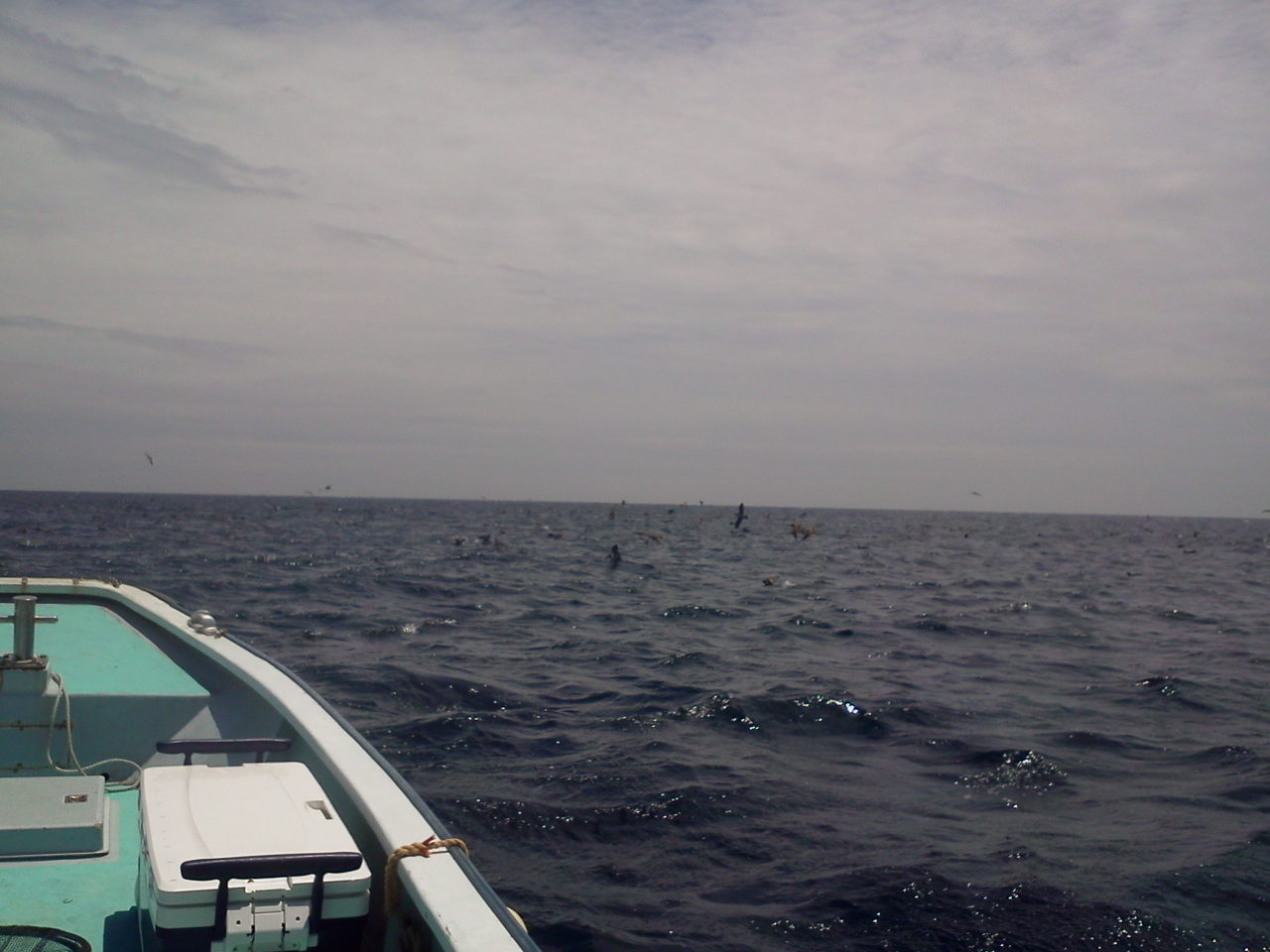 e0204372_21253913.jpg