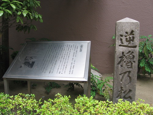f0259373_11144196.jpg