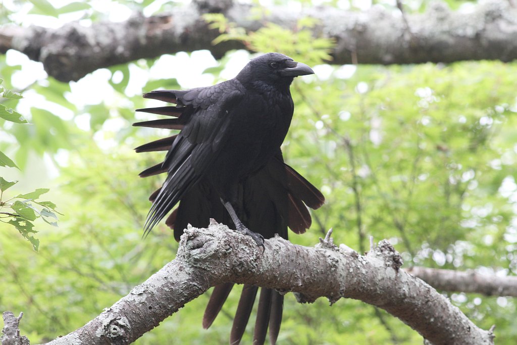 明石公園　2013.06.02　仲良しとママ_b0174191_2015509.jpg