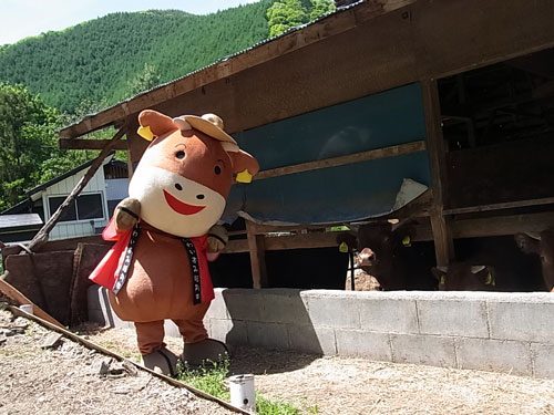 夢と希望のお手伝い_f0236291_10352835.jpg