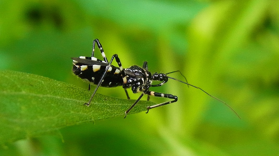 a0152692_183565.jpg