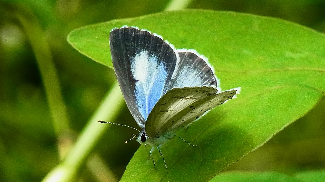 a0152692_1894888.jpg