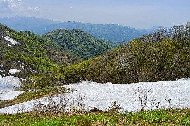 b0255992_1833341.jpg