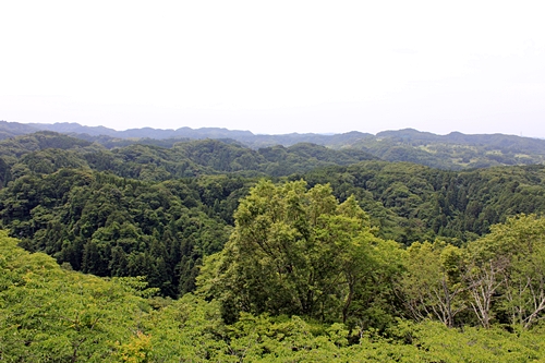 d0103292_237518.jpg