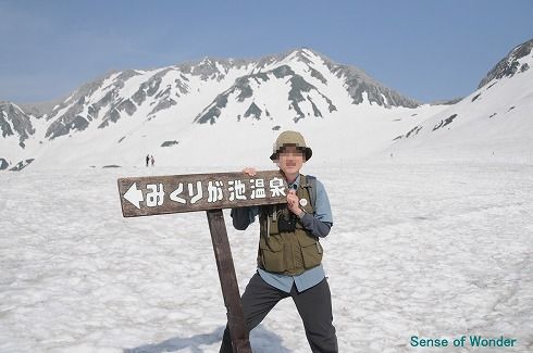 都会のライチョウ？　立山・黒部アルペンルート＠室堂 その2_b0075193_10155011.jpg