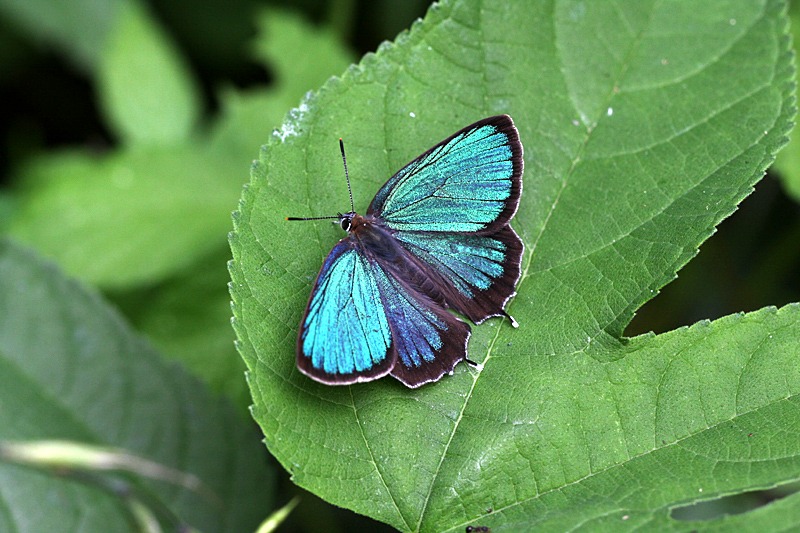 b0194593_2182039.jpg