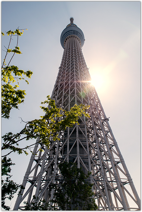 f0105694_20553473.jpg