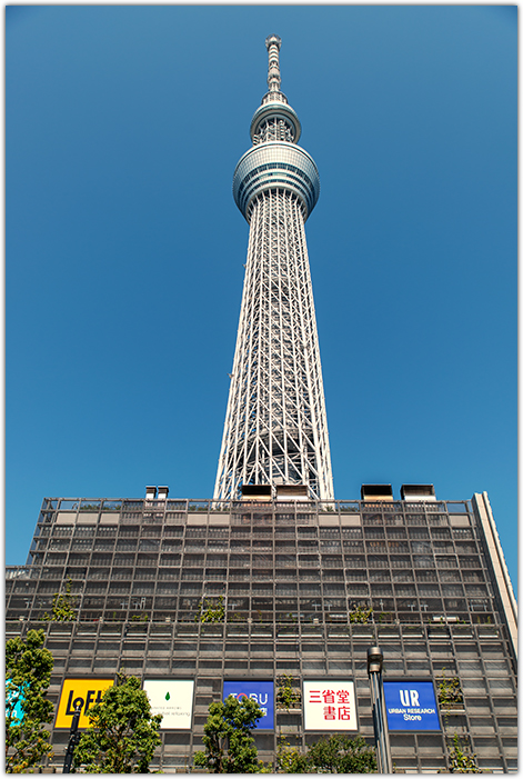 f0105694_20555186.jpg
