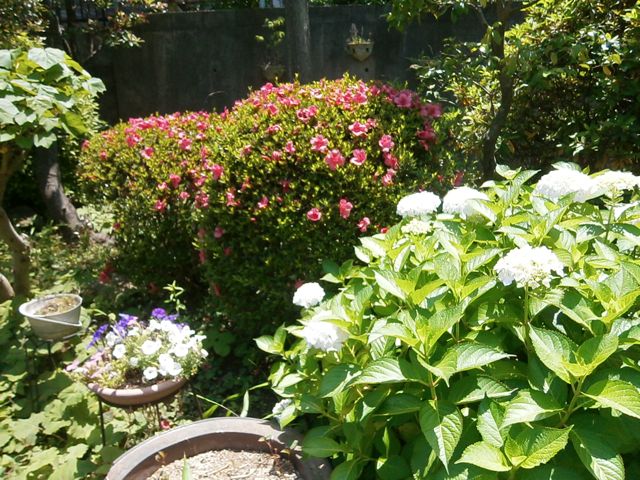 f0130894_20293669.jpg