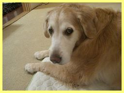 d0282395_826586.png