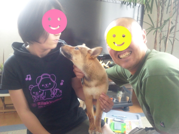 ヴェールちゃん 新生活スタート!_f0242002_19322938.jpg