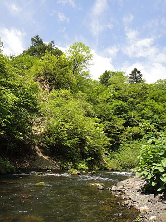 b0172805_4363459.jpg
