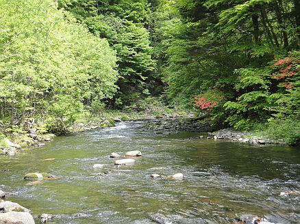 b0172805_4404438.jpg