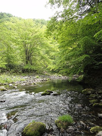 b0172805_4424696.jpg