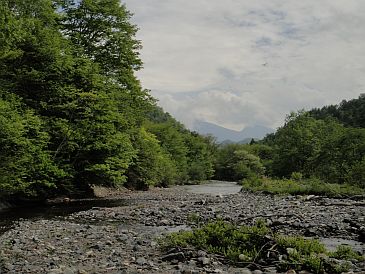 b0172805_450170.jpg